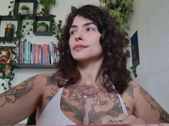 talimajesty webcam