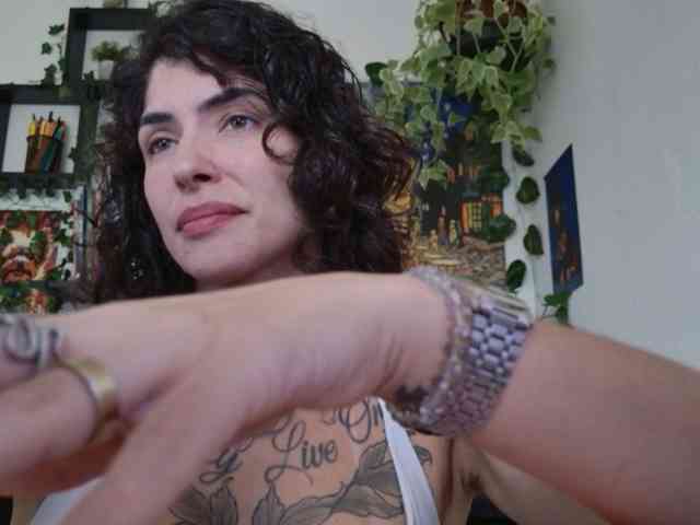 talimajesty webcam