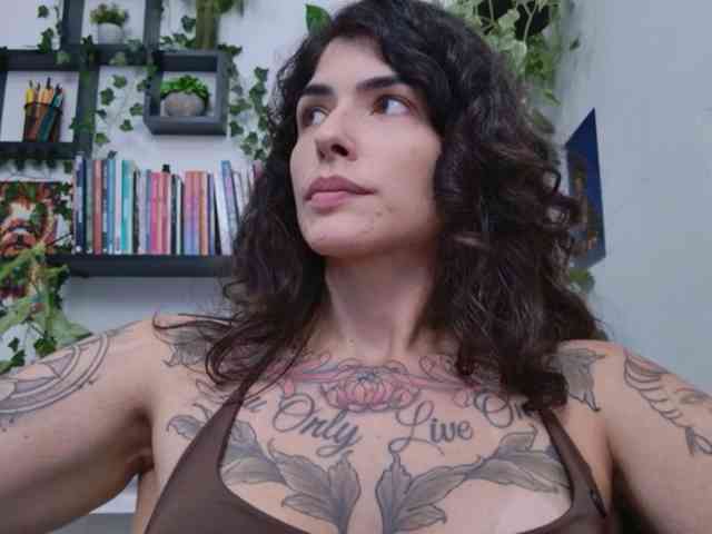 talimajesty webcam