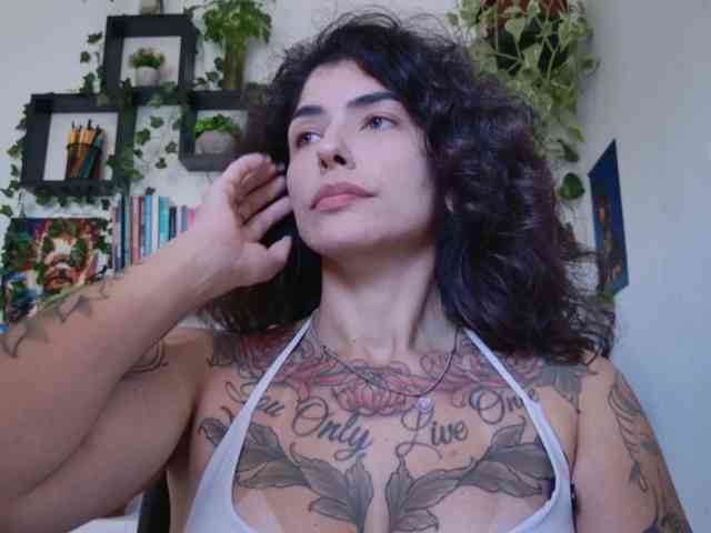 talimajesty webcam
