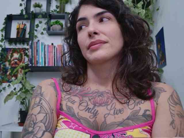 talimajesty webcam