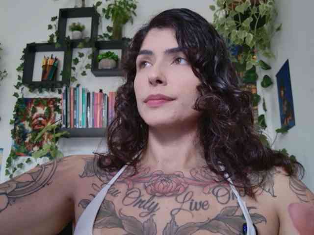 talimajesty webcam