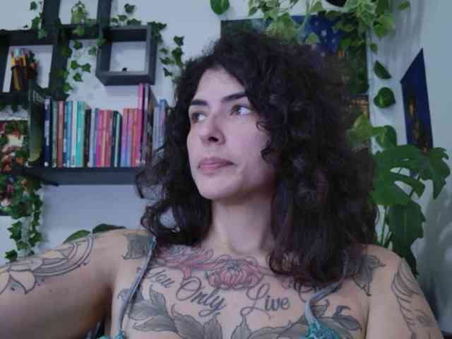 talimajesty webcam