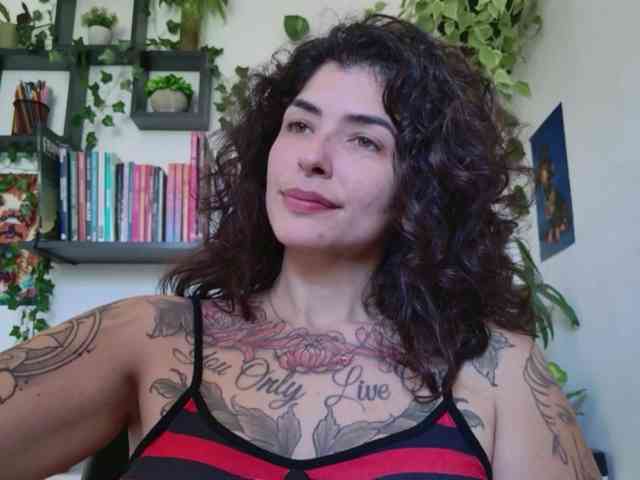 talimajesty webcam