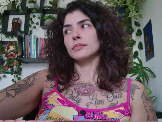 talimajesty webcam