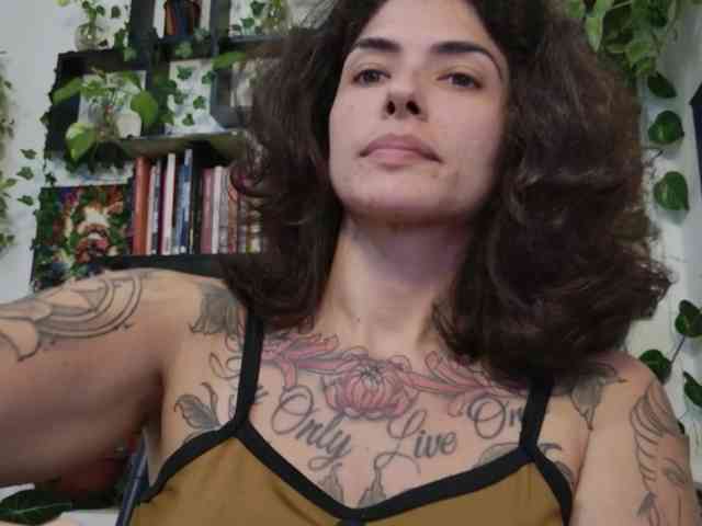 talimajesty webcam