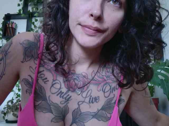 talimajesty webcam