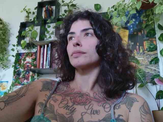 talimajesty webcam