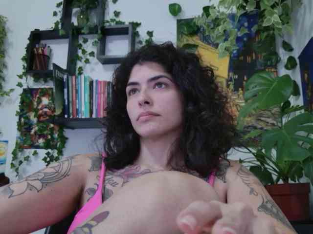 talimajesty webcam