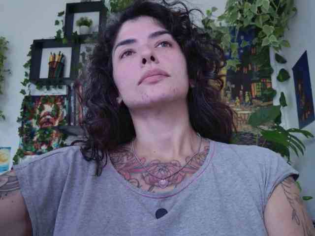 talimajesty webcam