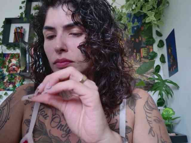 talimajesty — transmissão ao vivo
