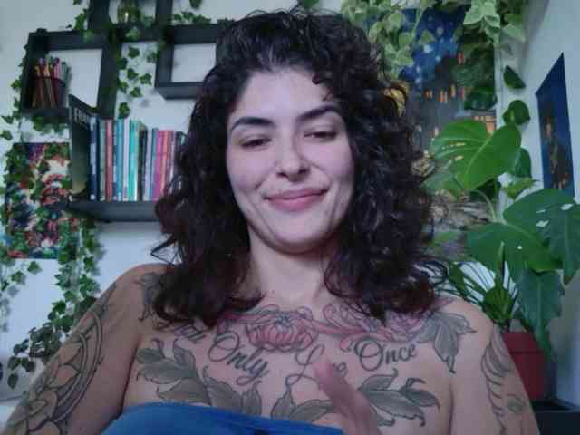 talimajesty webcam