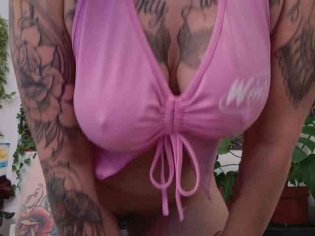 talimajesty webcam