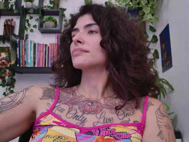 talimajesty webcam