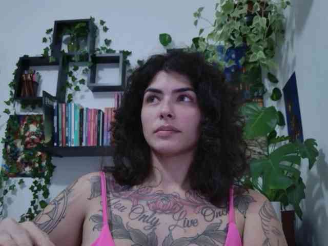 talimajesty webcam