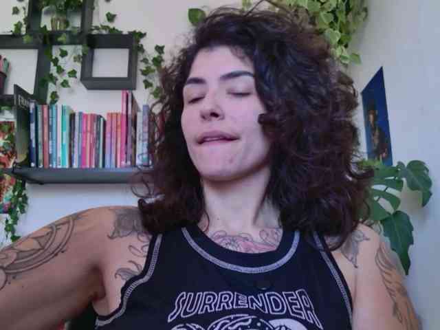 talimajesty webcam