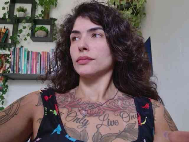 talimajesty webcam