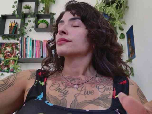 talimajesty webcam