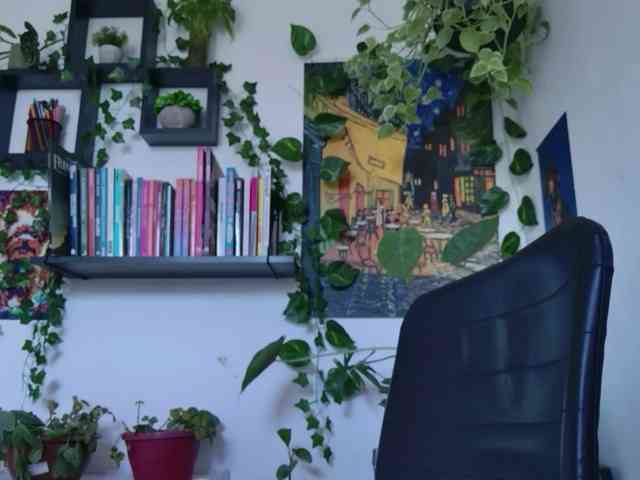 talimajesty webcam