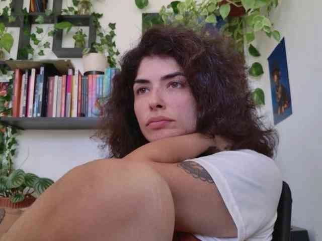 talimajesty webcam