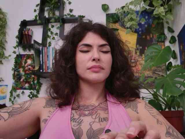 talimajesty webcam