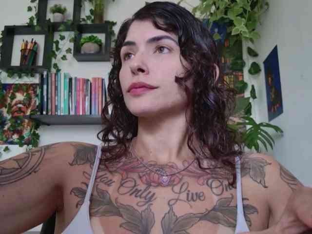 talimajesty webcam
