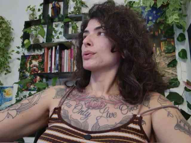 talimajesty webcam