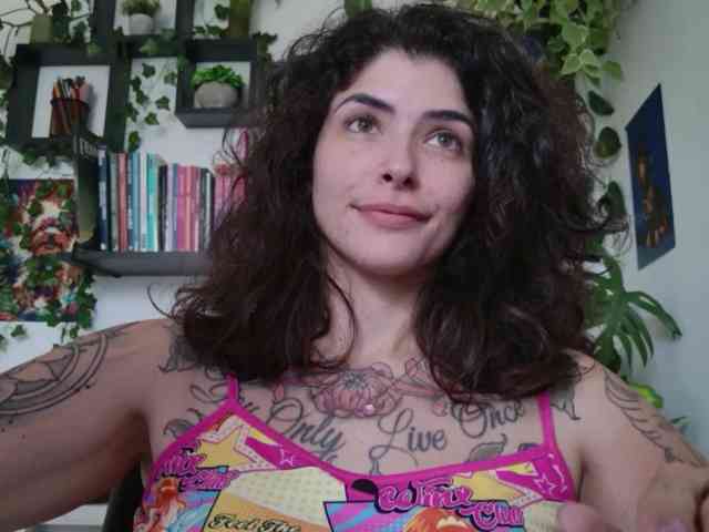 talimajesty webcam
