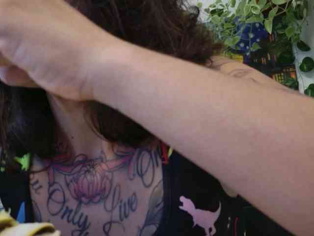 talimajesty webcam