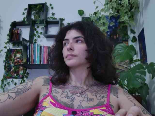 talimajesty webcam