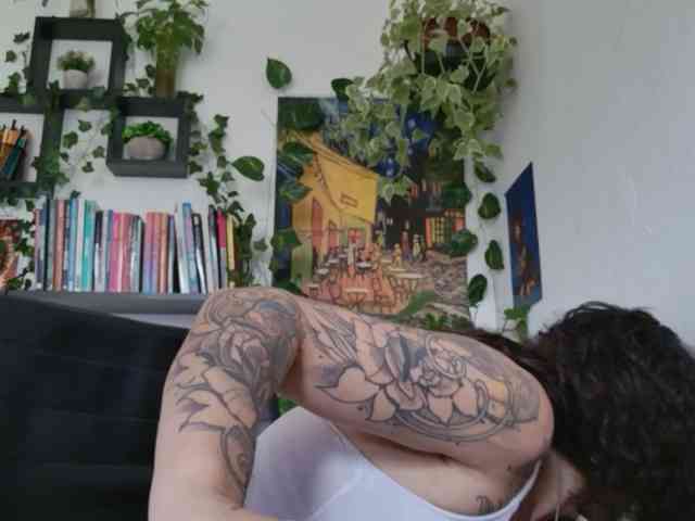 Modelo: TaliMajesty
