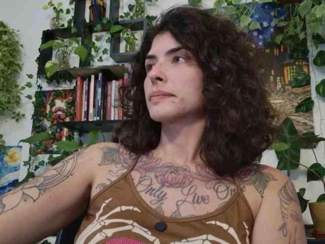 talimajesty webcam