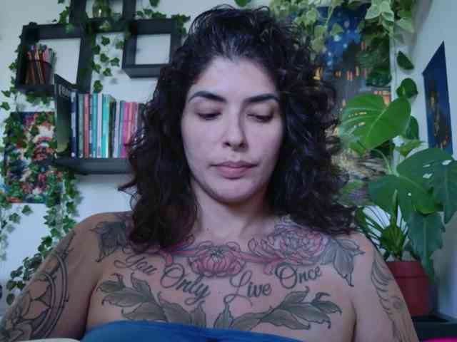 talimajesty webcam