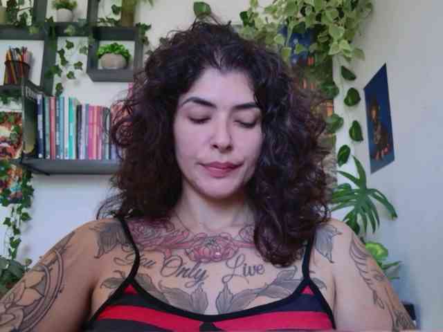 talimajesty webcam