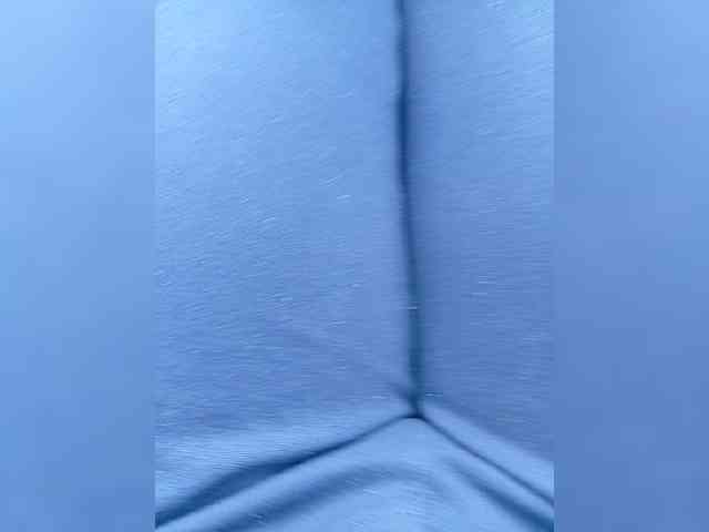 Yna-and-Yn webcam