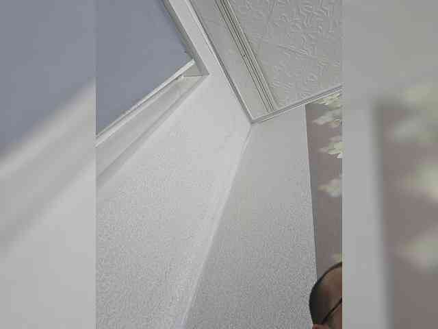 Darina909 webcam