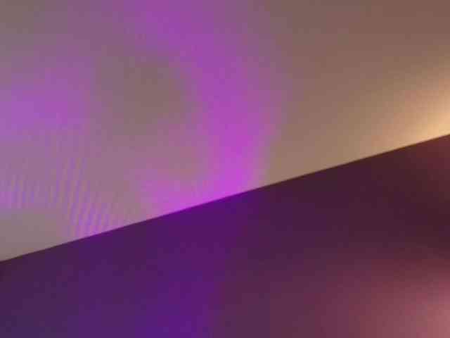 AnyaKim1 webcam