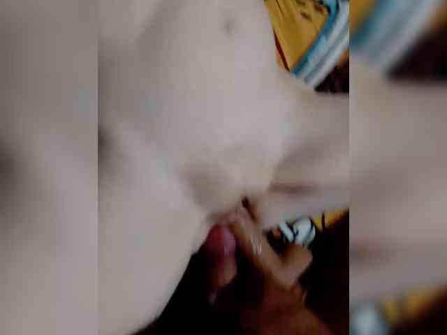 NicaAndrei webcam