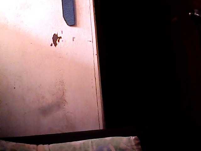 Chatty22's BongaCams show and profile