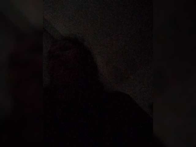 Chatty22 live cam preview