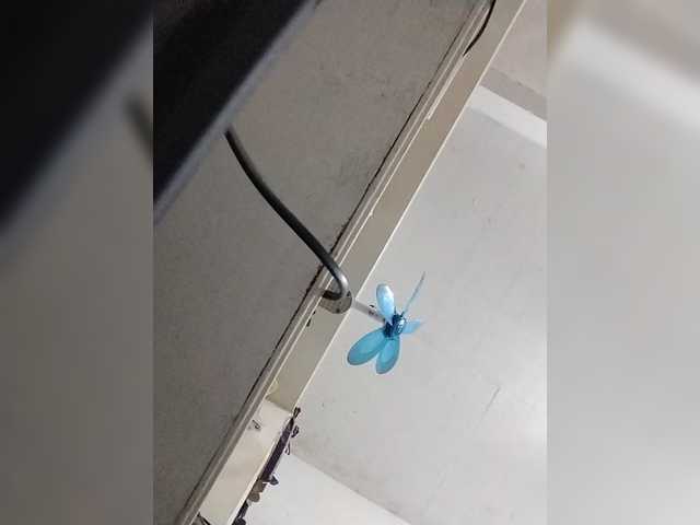 Chatty22