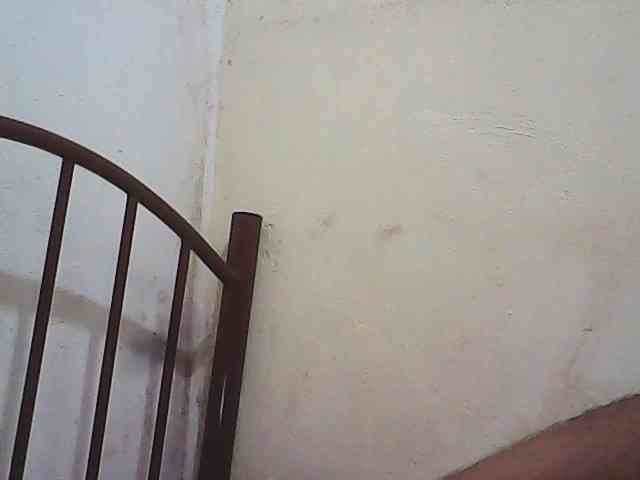 Chatty22 webcam