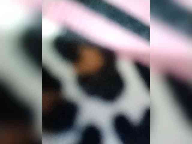 Chatty22 webcam