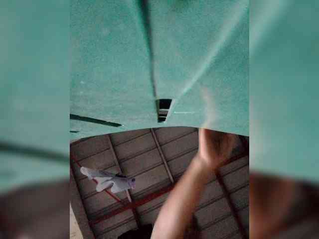 Chatty22 webcam
