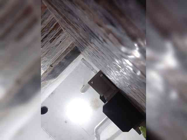 Chatty22 webcam
