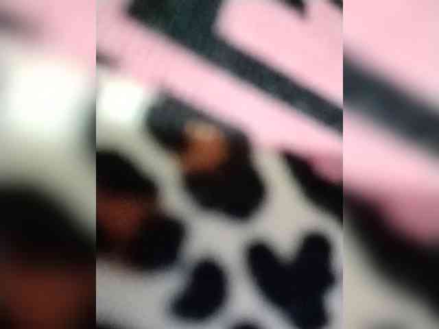 Chatty22 webcam