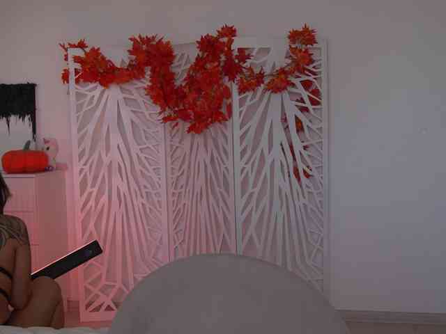 zennda webcam