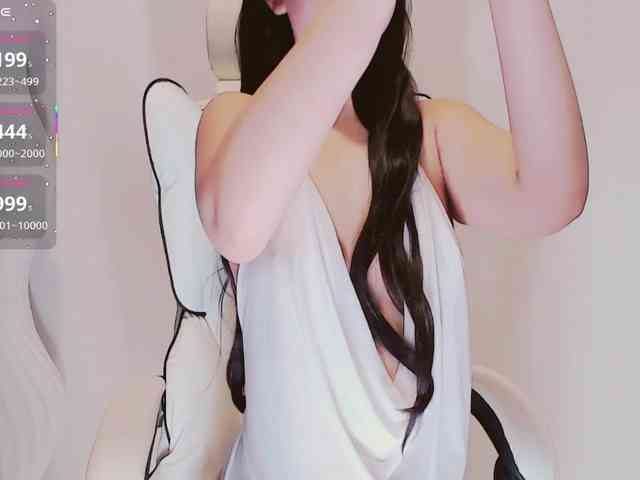 aiLeXia webcam