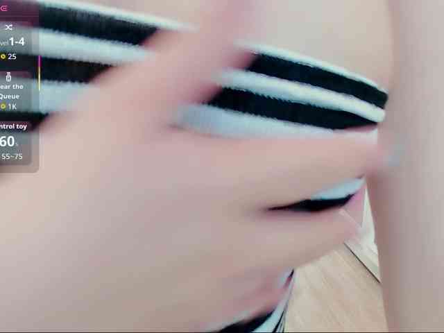 aiLeXia webcam