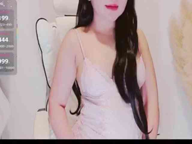aiLeXia webcam